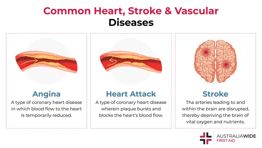 Heart Conditions